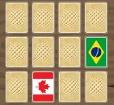 World flags memory