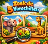 Zoek de 5 verschillen